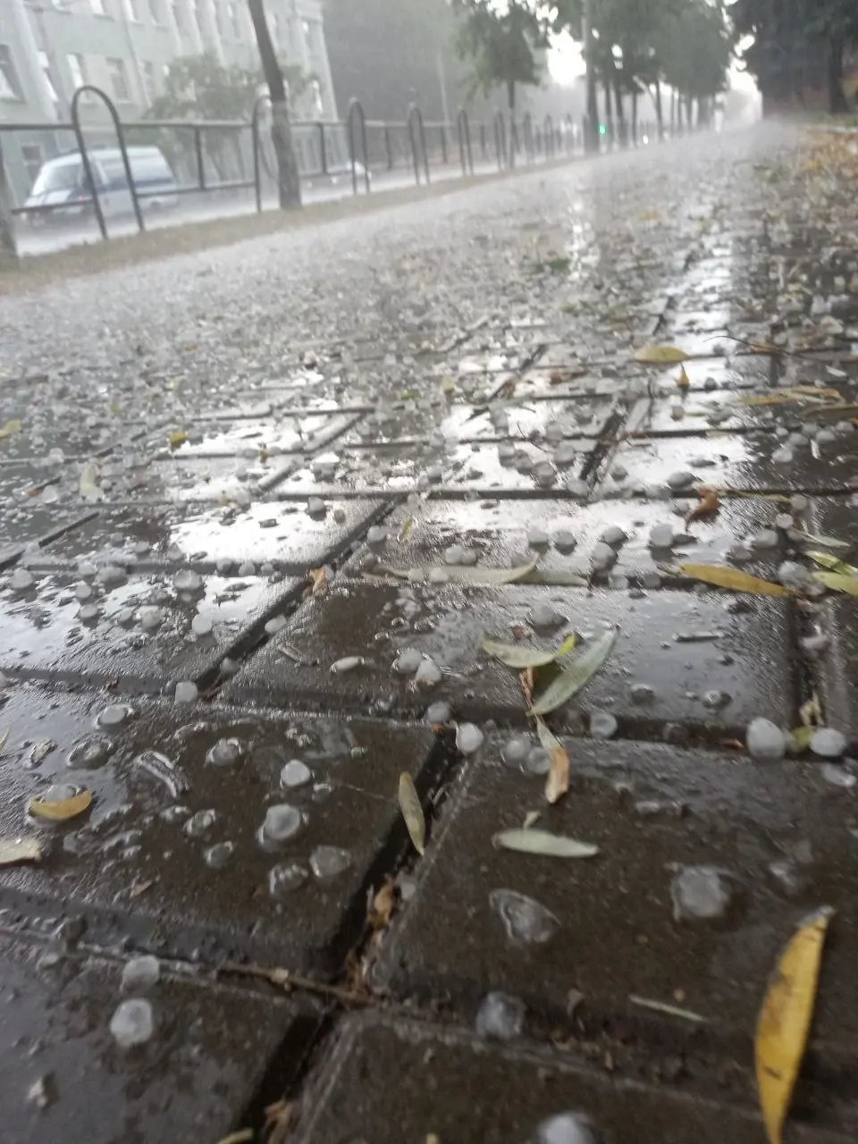 19 июня. Могилев. Град накрыл центр. Фото: «Беларусь 4 Могилев».