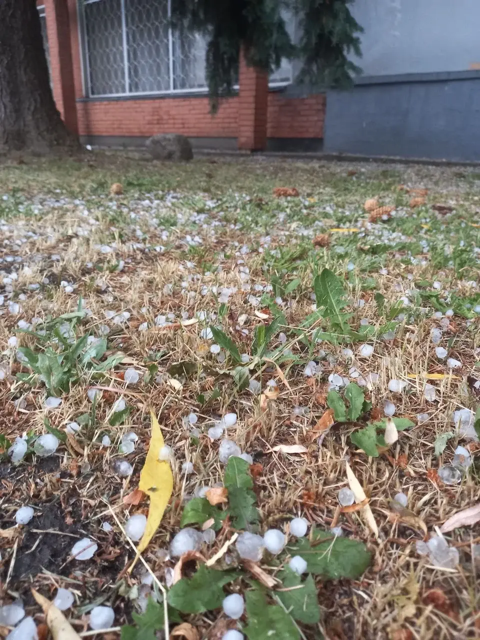 19 июня. Могилев. Град накрыл центр. Фото: «Беларусь 4 Могилев».