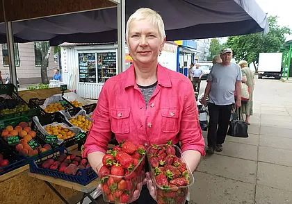 Заработать на рассаде клубники и саженцах малины