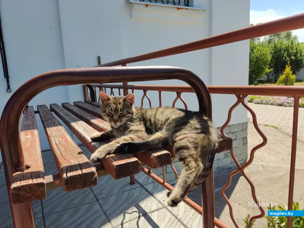 Барколабовский Свято-Вознесенский женский монастырь. Быховский район, 11.06.2023 г.