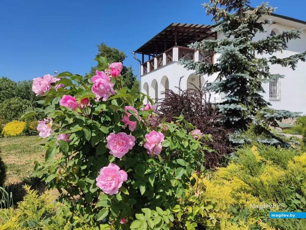 Барколабовский Свято-Вознесенский женский монастырь. Быховский район, 11.06.2023 г.