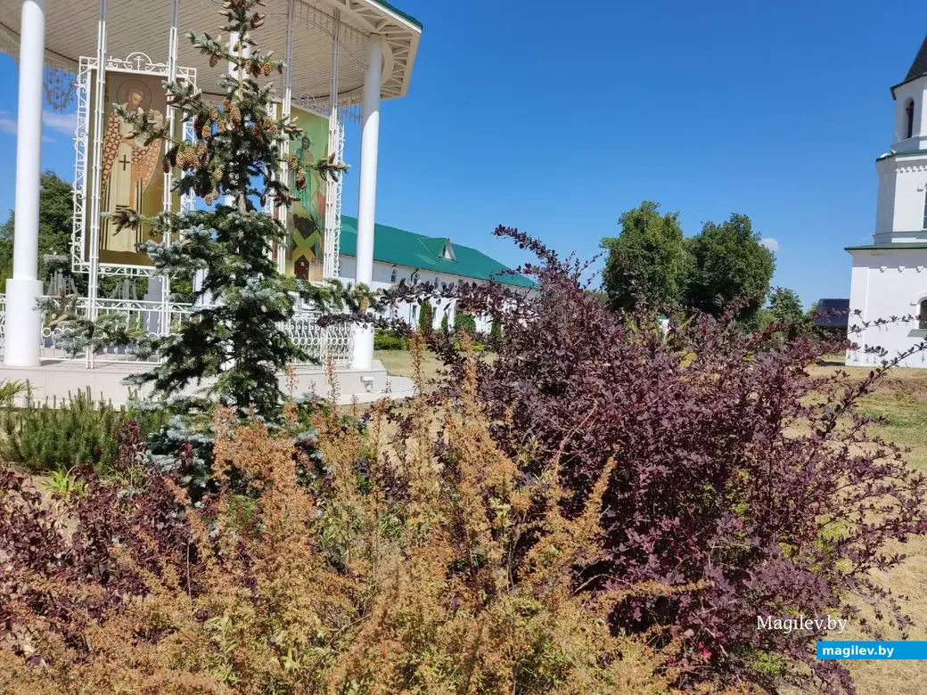 Барколабовский Свято-Вознесенский женский монастырь. Быховский район, 11.06.2023 г.