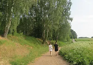 Вырубят ли из-за стройки «Березовую рощу» в Могилеве? Мы узнали ответ