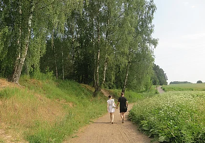 Вырубят ли из-за стройки «Березовую рощу» в Могилеве? Мы узнали ответ