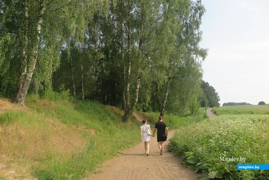 Июнь 2023 г. Могилев, 30 лет Победы. Какова судьба «Березовой рощи»?