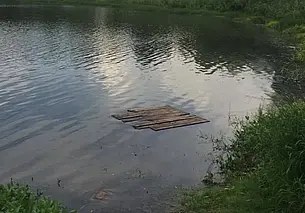 В заливе Днепра в Могилеве утонул 9-летний мальчик