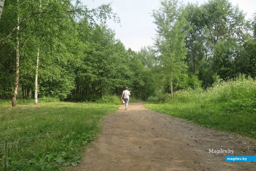 Июнь 2023 г. Могилев, 30 лет Победы. Какова судьба «Березовой рощи»?