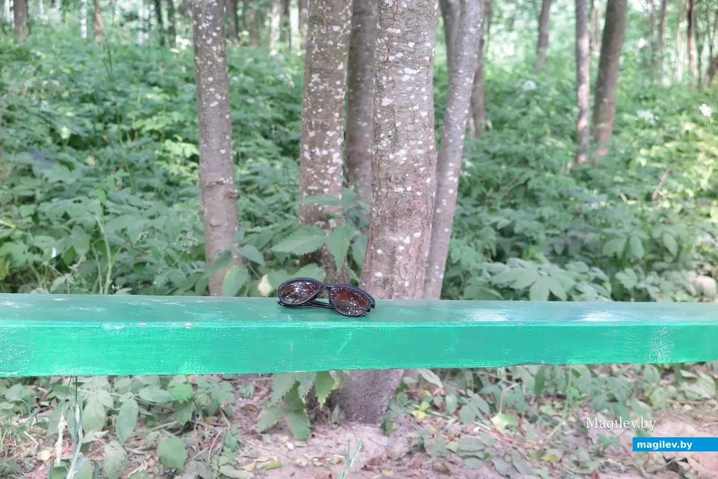 Июнь 2023 г. Могилев, 30 лет Победы. Какова судьба «Березовой рощи»?