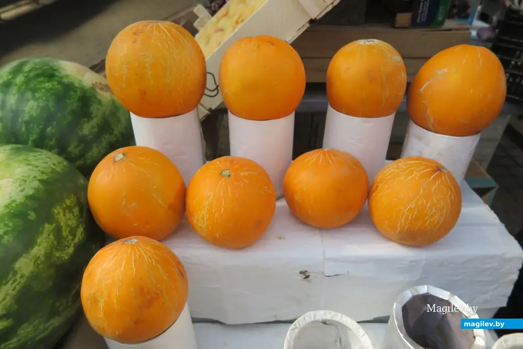 21.06.2023 г. Могилев, Центральный рынок. Дынька на поверку действительно оказалась медовой.