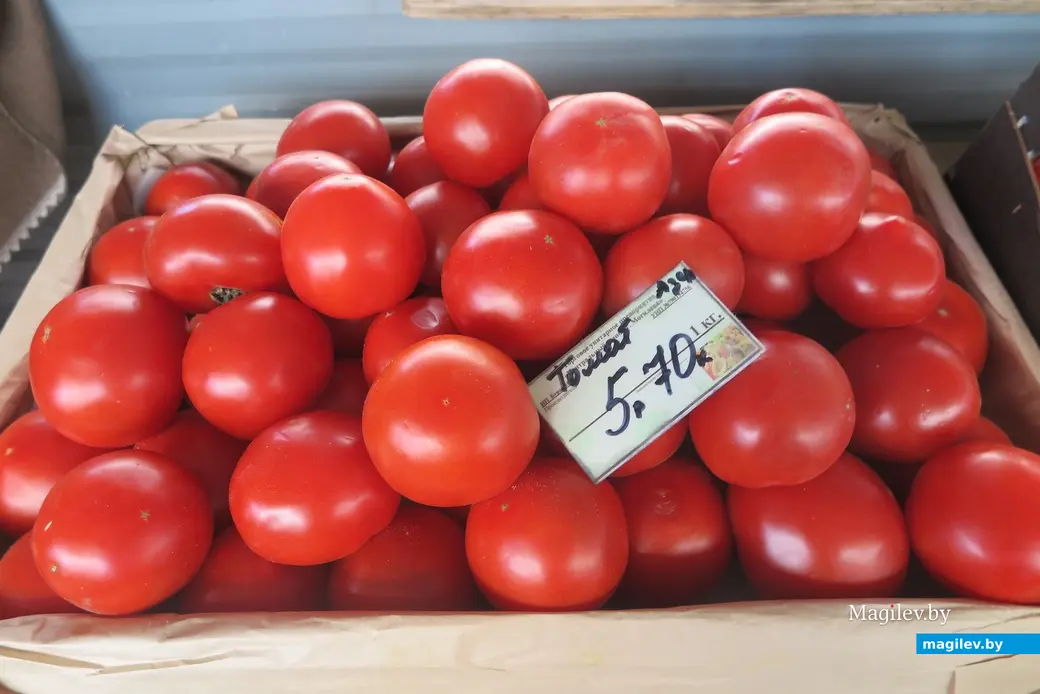 21.06.2023 г. Могилев, Центральный рынок. Цены на помидоры разнятся.