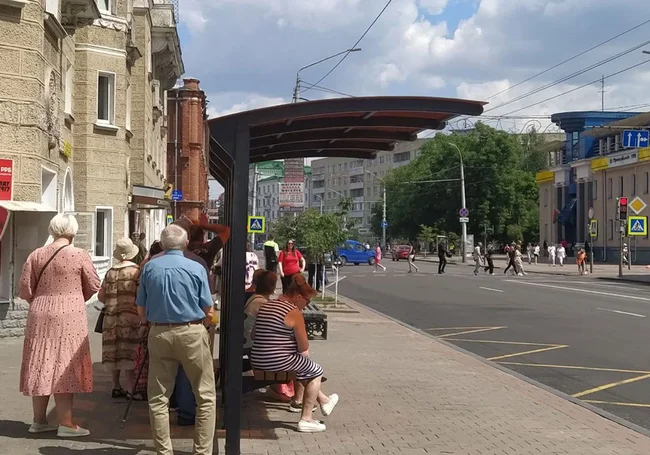 Вот когда пожалеешь про отсутствие деревьев
