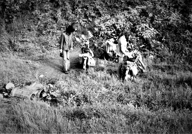 Однажды в Могилеве. «Их хипповая команда  – это такой шедевр!»