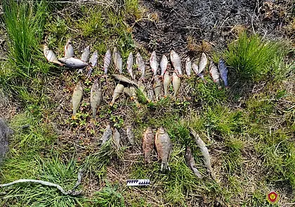 Ловил рыбу сетями: судебные эксперты помогли доказать причастность мужчины к браконьерству