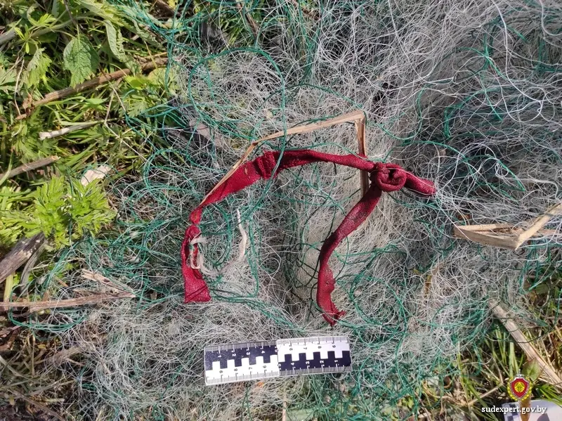 Жителю Кричевского района предъявили обвинения в браконьерстве.