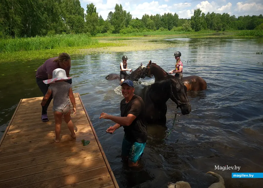 Частная конюшня в д.Городня Могилевского района. Купание лошадей в речке.