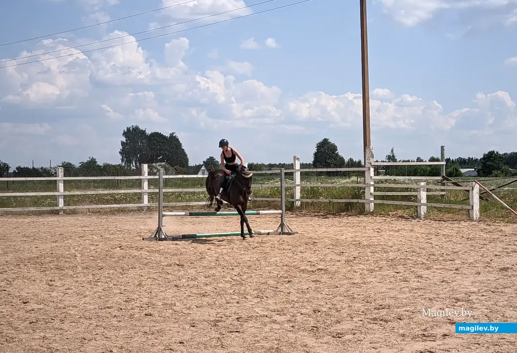 Частная конюшня семейства Ратош в д.Городня Могилевского района. Прыжки через препятствия.