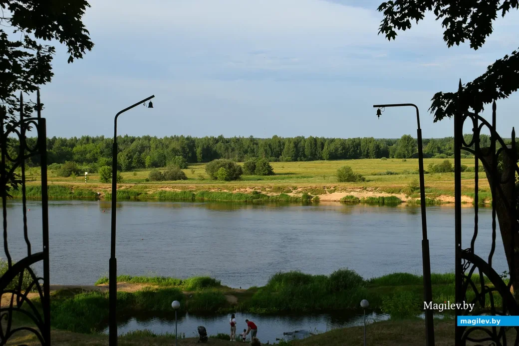 20.06.2023, Бобруйск. Вид на Березину с территории санатория им. Ленина. 20.06.2023, Бобруйск.