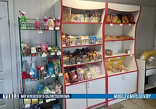 В Хотимске продавец магазина похищала деньги из кассы ради ставок в онлайн-казино