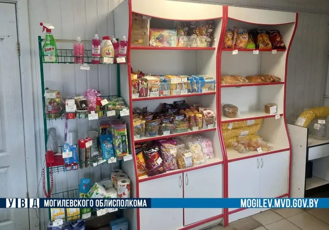 В Хотимске продавец магазина похищала деньги из кассы ради ставок в онлайн-казино