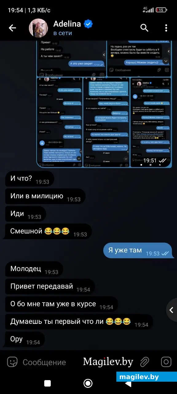 Скриншоты переписки Аделины и Алексея.