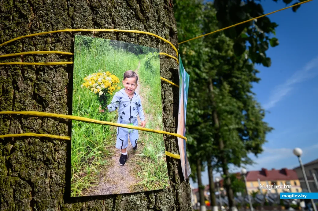29.06.2023. Сквер трудовой славы. Фотосушка (любительская фотовыставка) на открытом воздухе