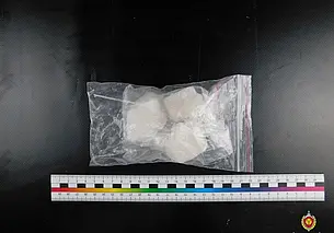 Помечал места наркозакладок крышечками: судэксперты нашли в телефоне могилевчанина  улики