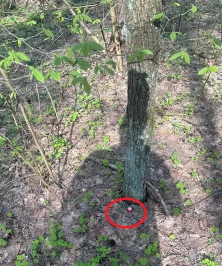 Фото ведомства