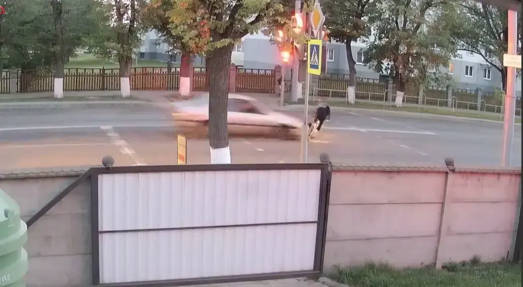 Фото: ТГ «Милиция Могилевщины»