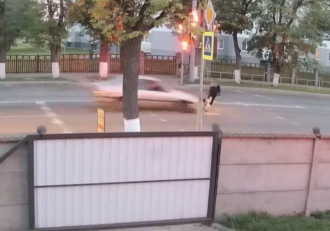 В Могилеве автомобиль сбил 14-летнюю велосипедистку