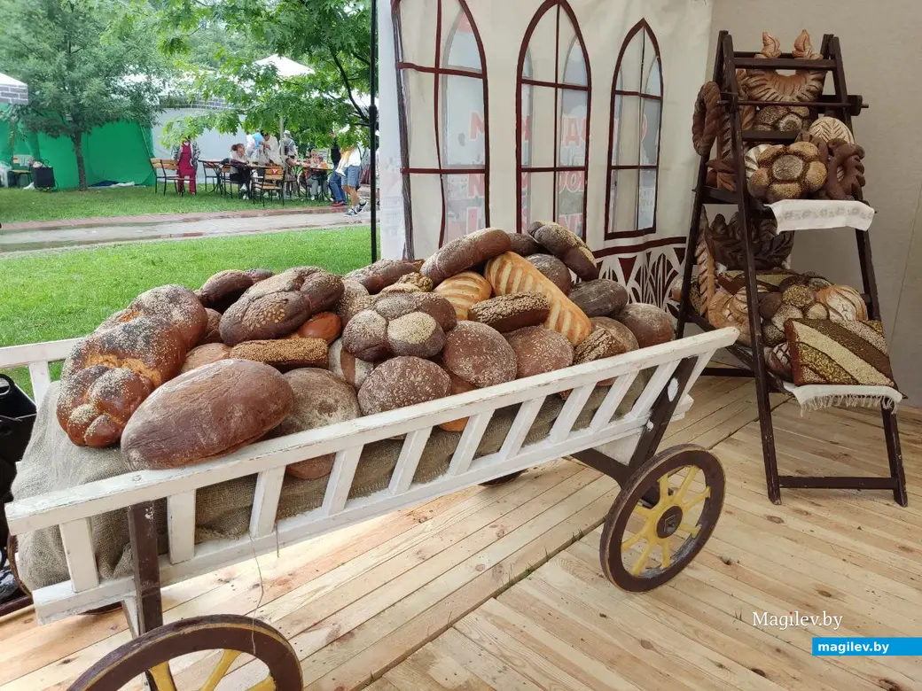 Праздник в рамках Дня города в парке в Подниколье. Могилев, 1.07.2023 г.