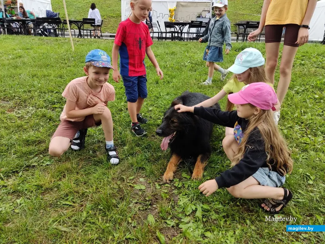 Праздник в рамках Дня города в парке в Подниколье. Могилев, 1.07.2023 г.