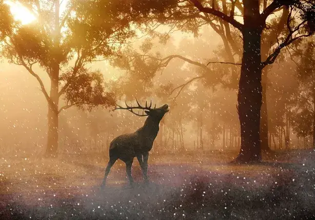 Серия суперлуний стартует 3 июля, и каждое имеет свое название. Почему?