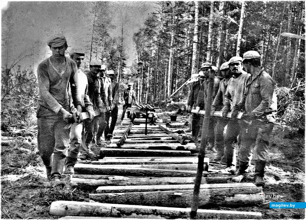 «Эй, ухнем!». Строительный отряд двух студенческих групп «машинки» (ЭП-711 и ЭП-712, специальность «Электропривод») за работай в сибирской тайге, 1974 г.