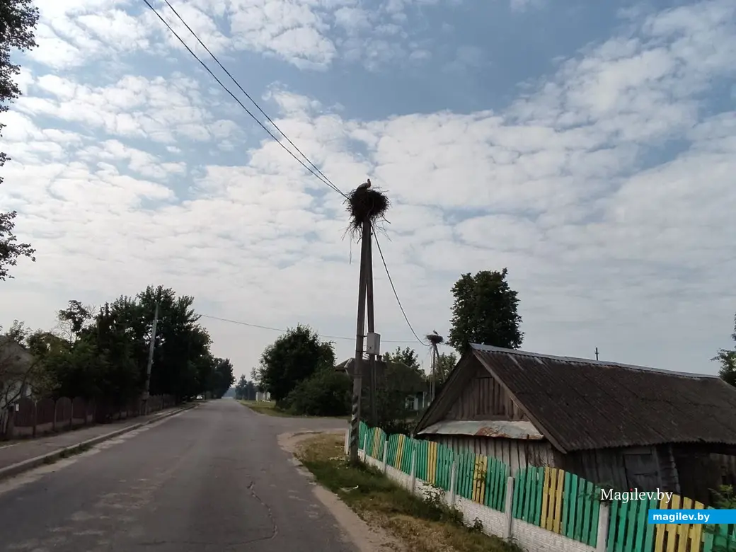 Агрогородок Заволочицы, Глусский район, Могилевская область. Июнь 2023 г