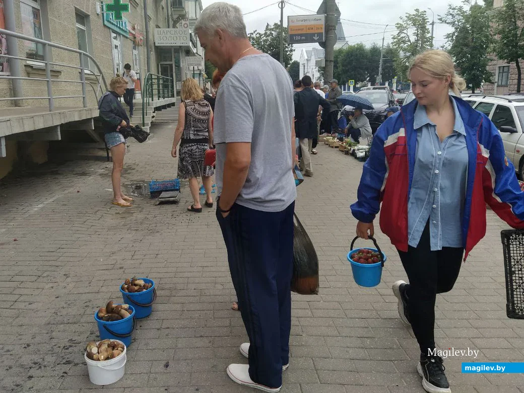Грибы боровики. Минский рынок. Могилев, 7 июля 2023 года.