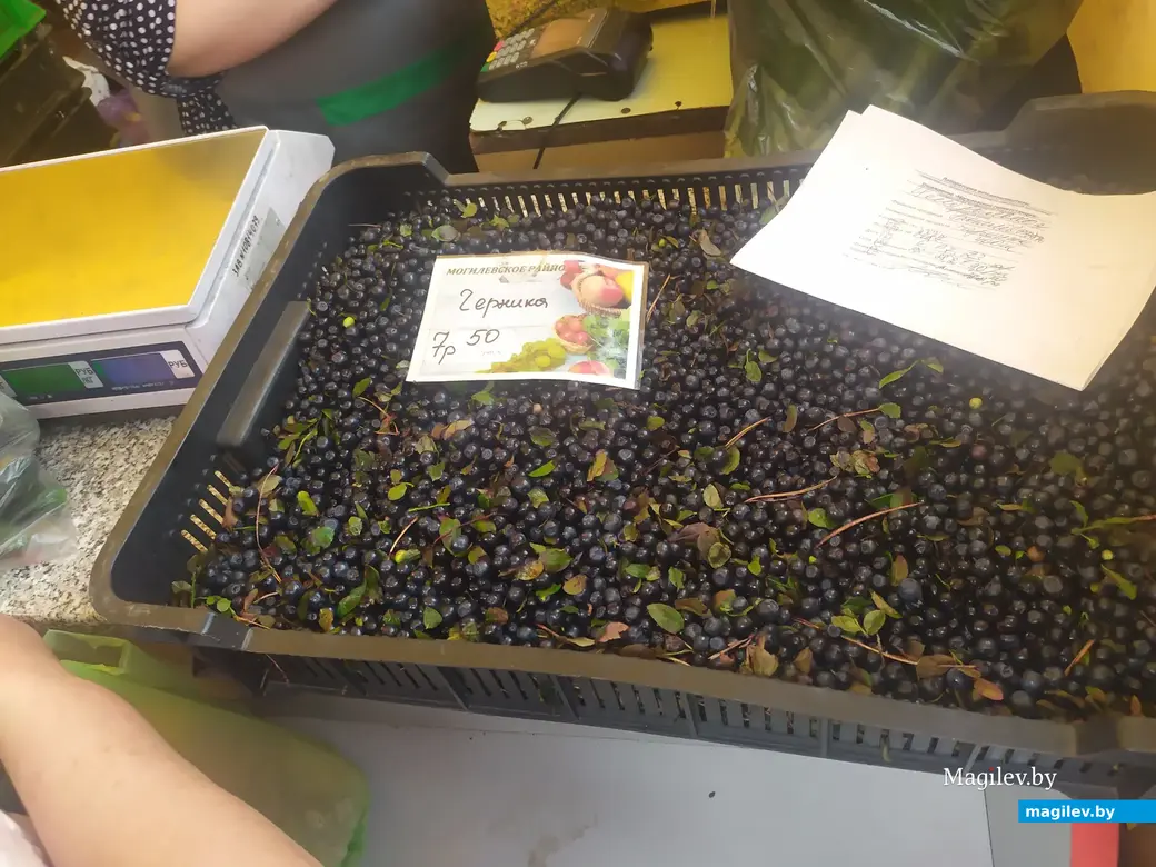 Что почем? Центральный (Минский) рынок. Могилев, 07.07.2023 г.