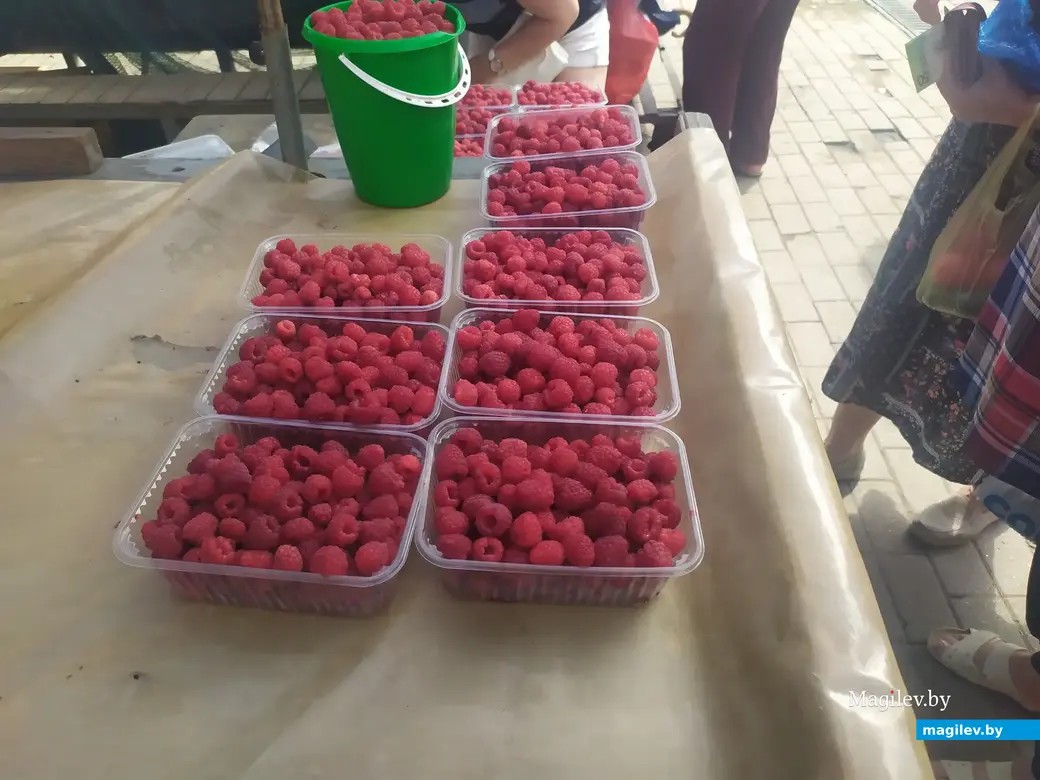 Что почем? Центральный (Минский) рынок. Могилев, 07.07.2023 г.