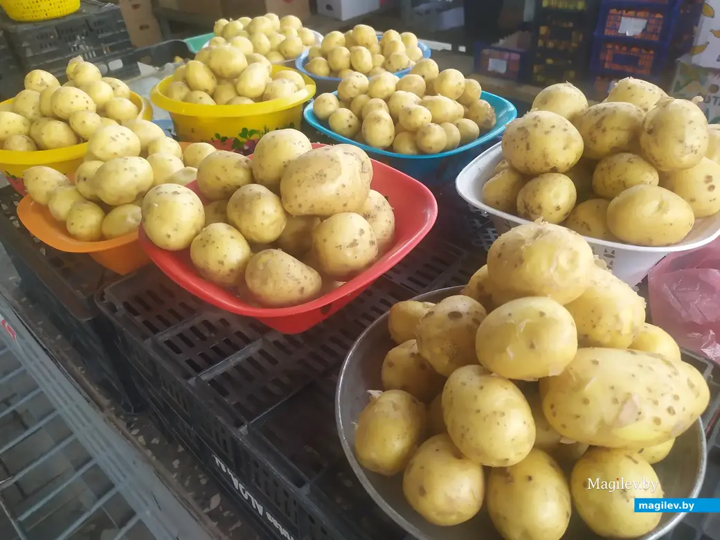 Что почем? Центральный (Минский) рынок. Могилев, 07.07.2023 г.