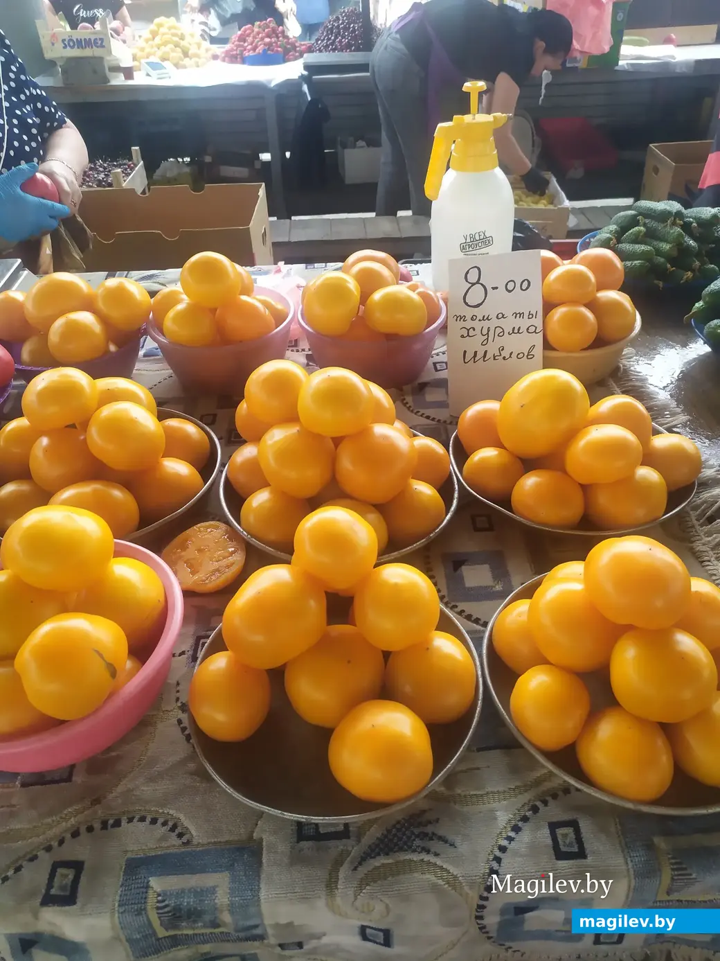 Что почем? Центральный (Минский) рынок. Могилев, 07.07.2023 г.