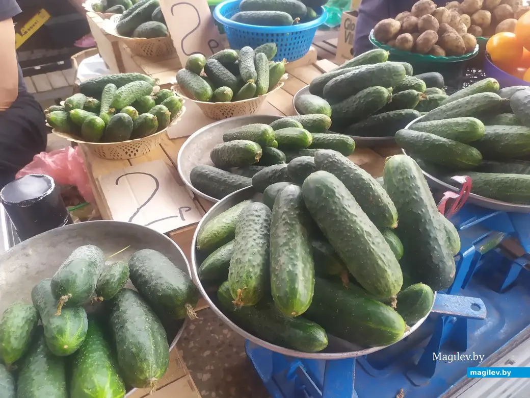 Что почем? Центральный (Минский) рынок. Могилев, 07.07.2023 г.
