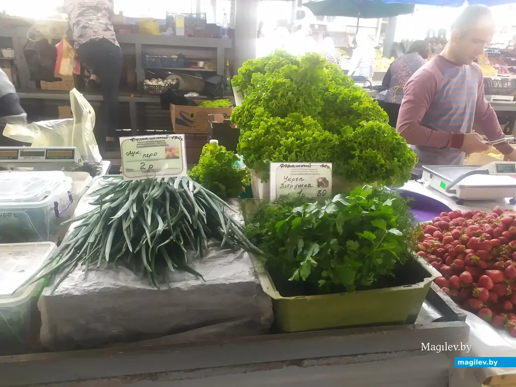 Что почем? Центральный (Минский) рынок. Могилев, 07.07.2023 г.