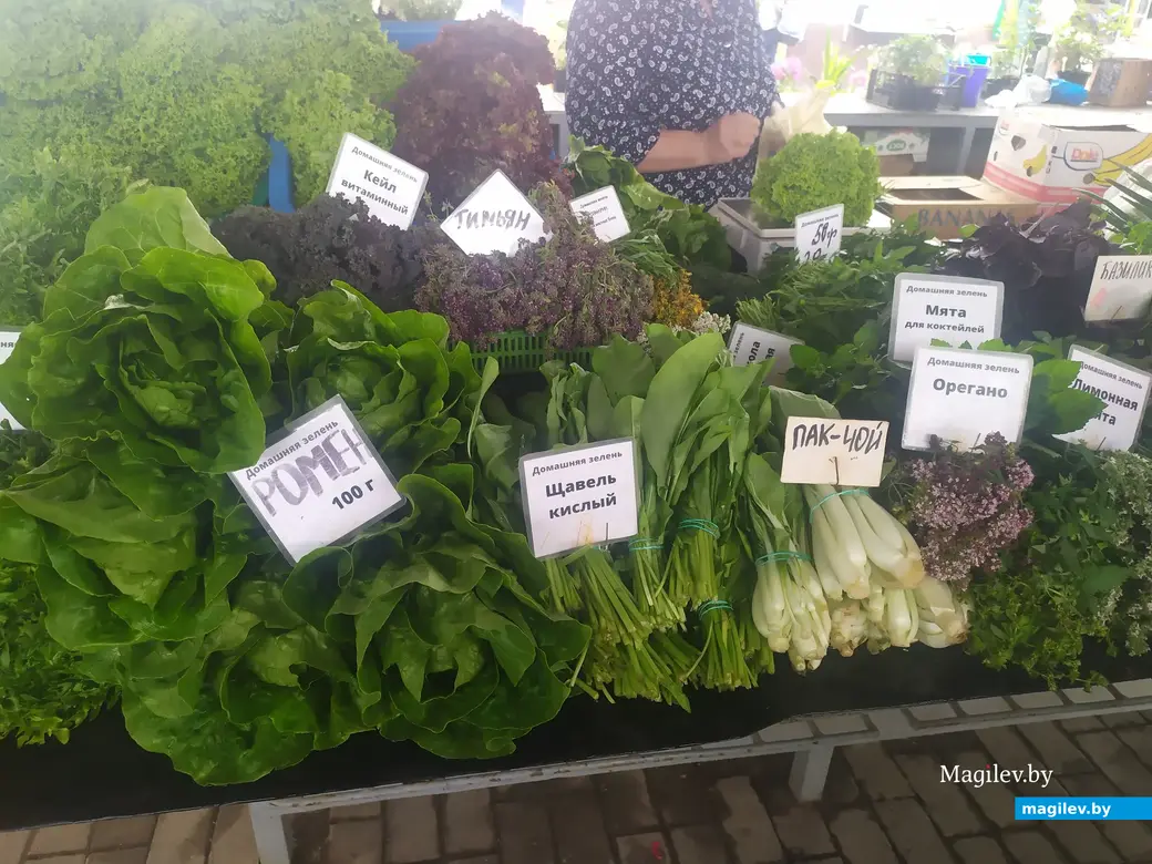Что почем? Центральный (Минский) рынок. Могилев, 07.07.2023 г.