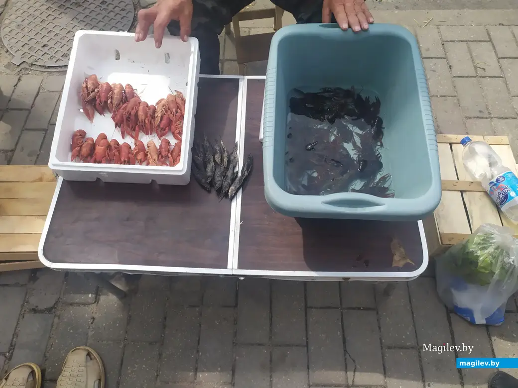 Что почем? Центральный (Минский) рынок. Могилев, 07.07.2023 г.