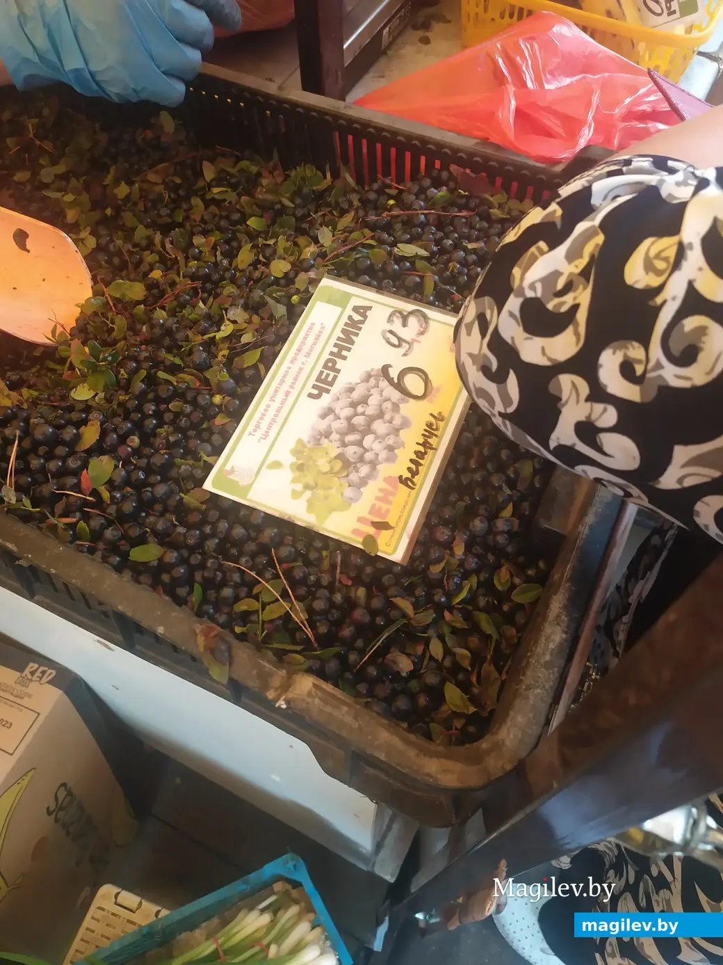 Что почем? Центральный (Минский) рынок. Могилев, 07.07.2023 г.