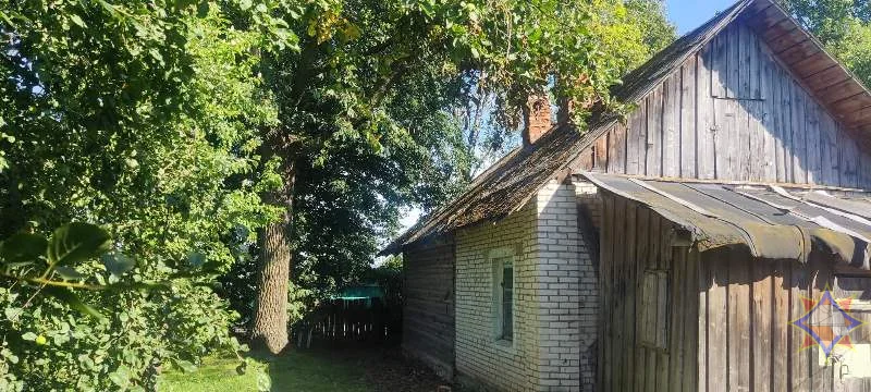 9-летний мальчик получил ожоги 40% тела, находясь на даче с мамой и сестрой в Оршанском районе. Фото: МЧС.