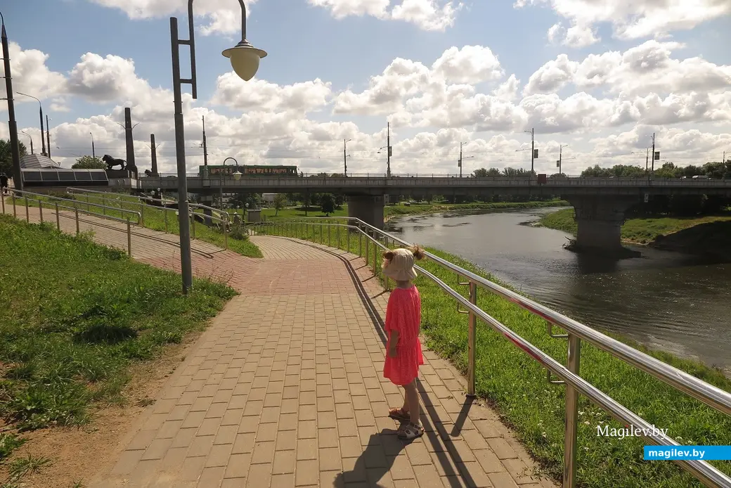 9.07.2023 г. Могилев. Идем к городскому пляжу и любуемся красотами.