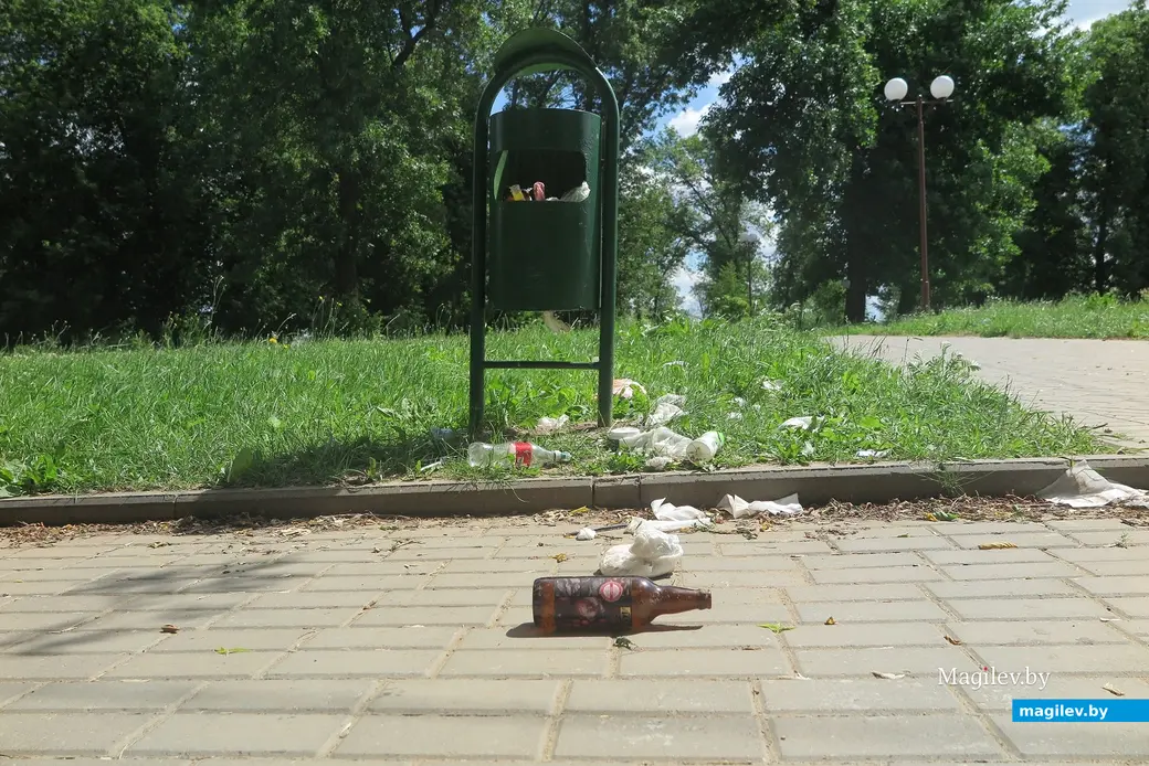 9.07.2023 г. Могилев, городской пляж. Кто забыл хрюкнуть?