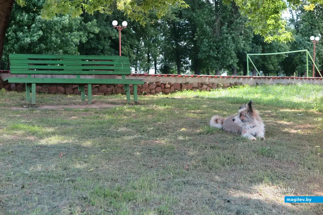 9.07.2023 г. Могилев, городской пляж. А помогает ему собака по кличке Освод. Милашка!