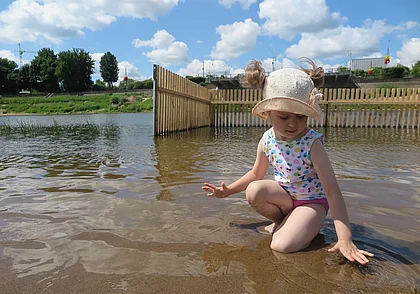 Травы много, песка мало. Оценили городской пляж у Днепра в Могилеве