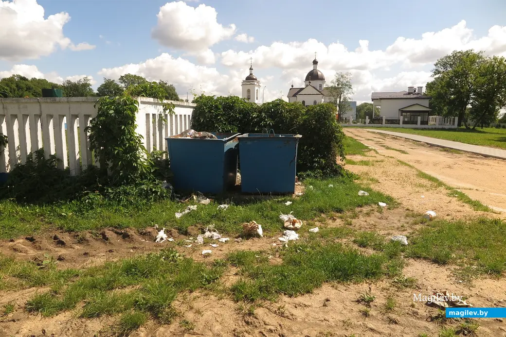 9.07.2023 г. Могилев, городской пляж. Кто забыл хрюкнуть?